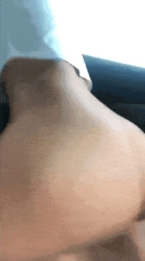 Alison Duenas riding dick in car