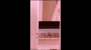 Amandass Seyfried – Bathroom Invitation!