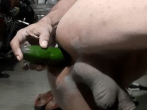 anal cucumber