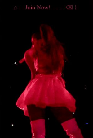 ari skirt