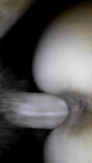 Girlfriend getting pounded by my girthy white cock from the back.