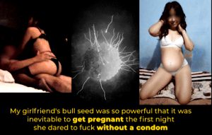 my girfriends impregnated with her bull