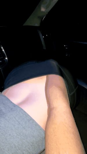 Tight slut sucks cock in a car
