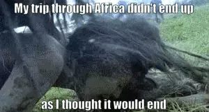 Trip to Africa